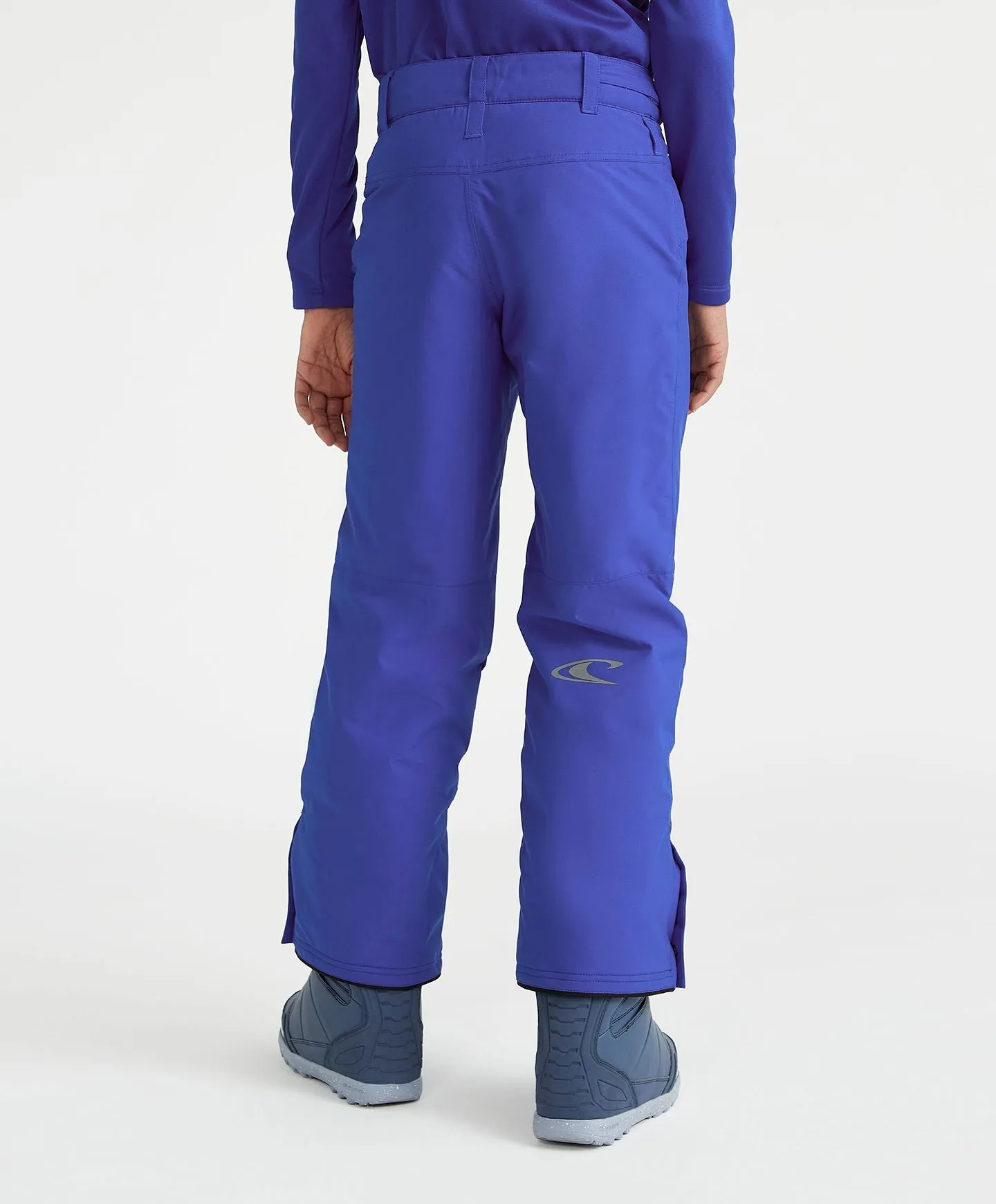 Boy's Hammer Snow Pants - Surf The Web Blue